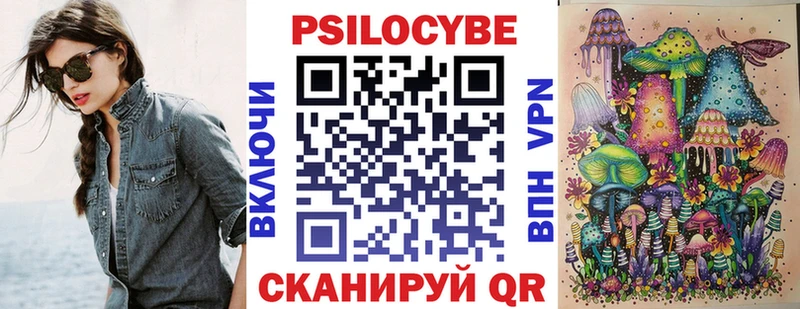 где купить Тимашёвск Галлюциногенные грибы Magic Shrooms